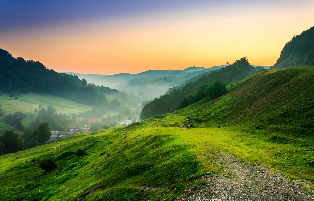 Photo wallpaper trees, mountains, nature, home, clearing, trees, nature, mountains