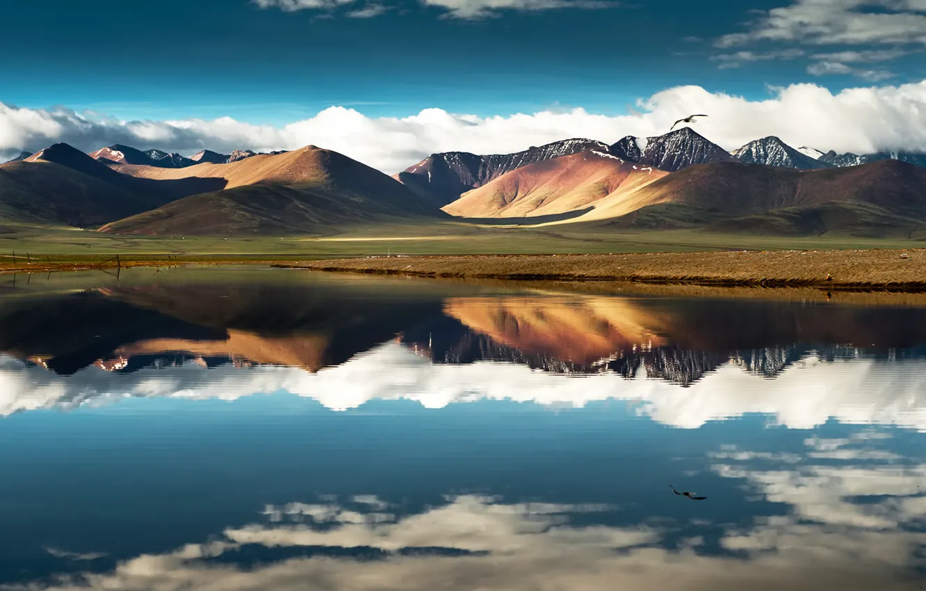 Photo wallpaper the sky, clouds, flight, mountains, lake, reflection, bird, China