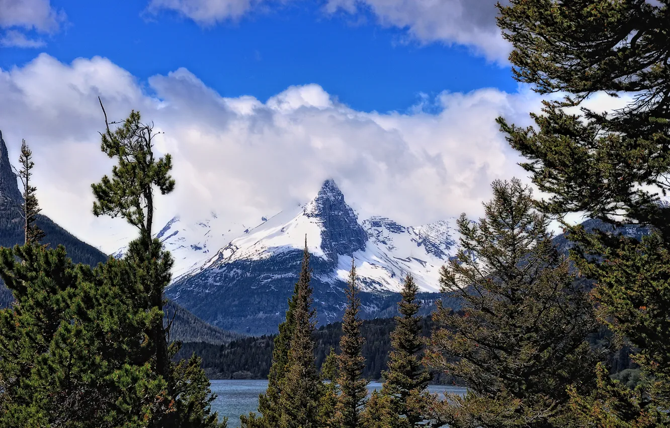Photo wallpaper forest, the sky, clouds, snow, trees, mountains, lake, spruce