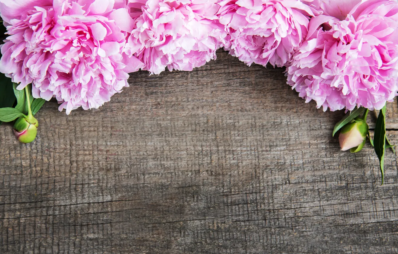 Photo wallpaper flowers, pink, wood, pink, flowers, peonies, peonies