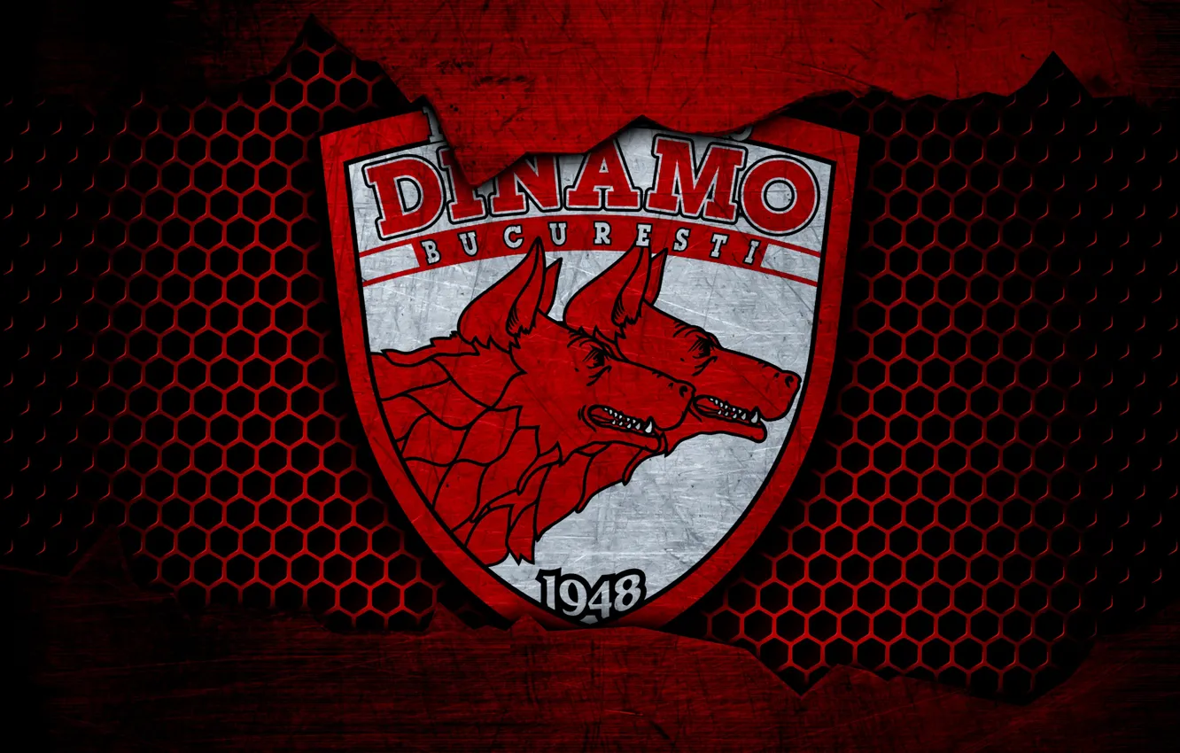 Photo wallpaper wallpaper, sport, logo, football, Dinamo Bucharest