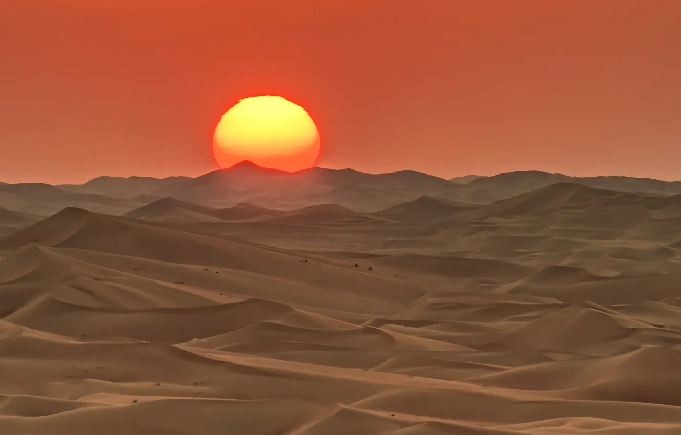 Photo wallpaper the sun, sunset, desert, barkhan, UAE, Abu Dhabi