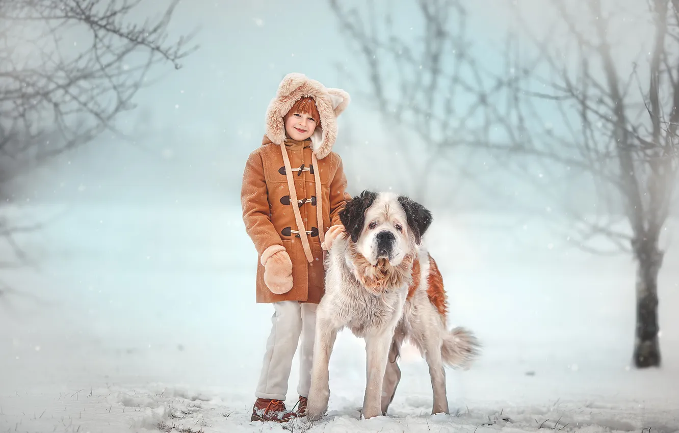 Photo wallpaper winter, snow, smile, dog, girl, haze, dog, bokeh