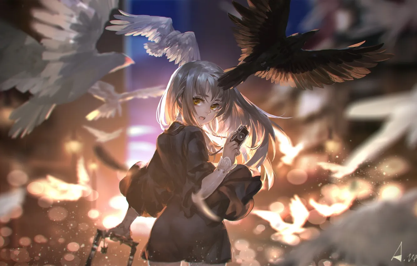 Photo wallpaper look, girl, bird, surprise, the camera, art, alcd