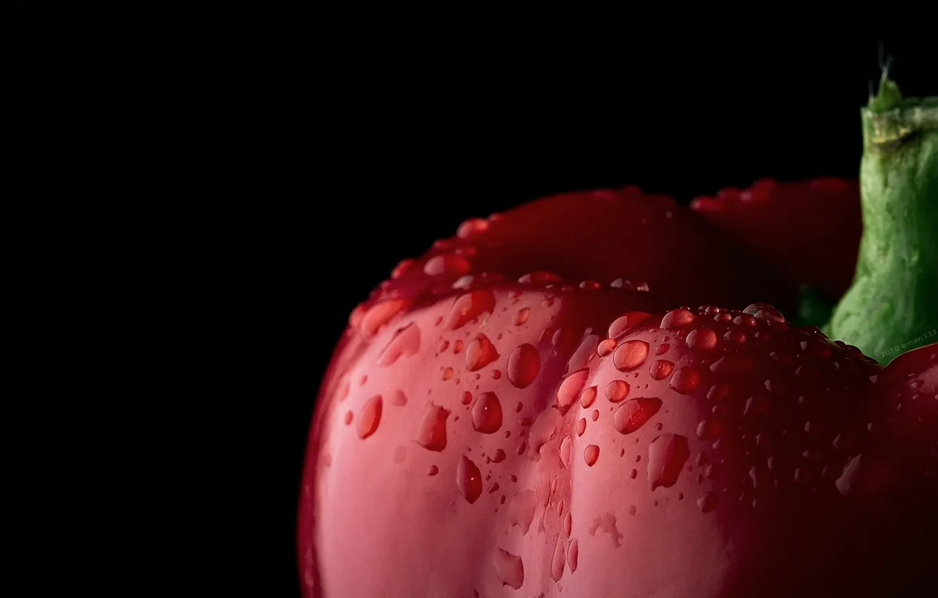 Photo wallpaper water, drops, macro, red, pepper