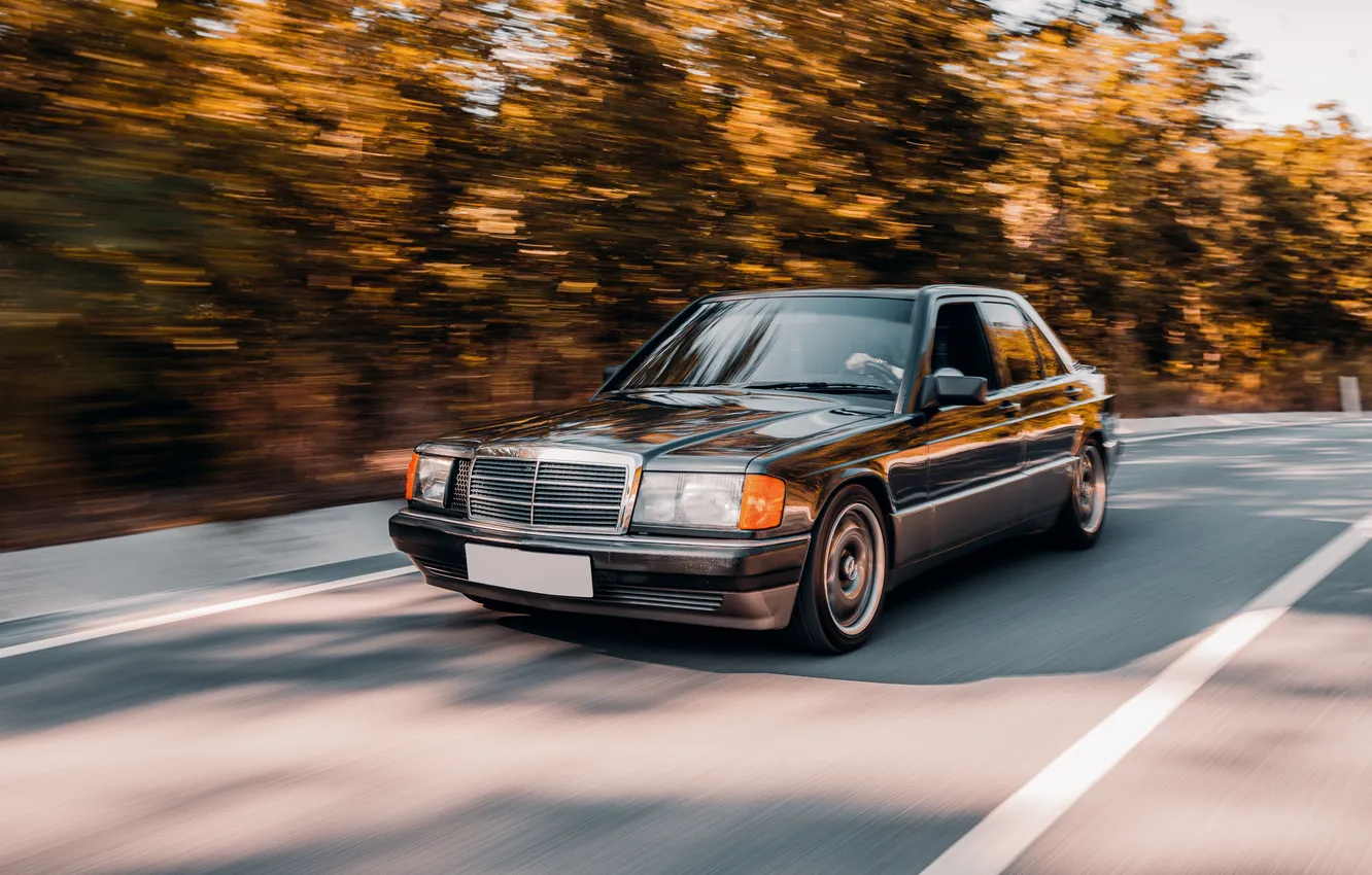 Photo wallpaper car, forest, black, vintage, road, longing, Driving, accross