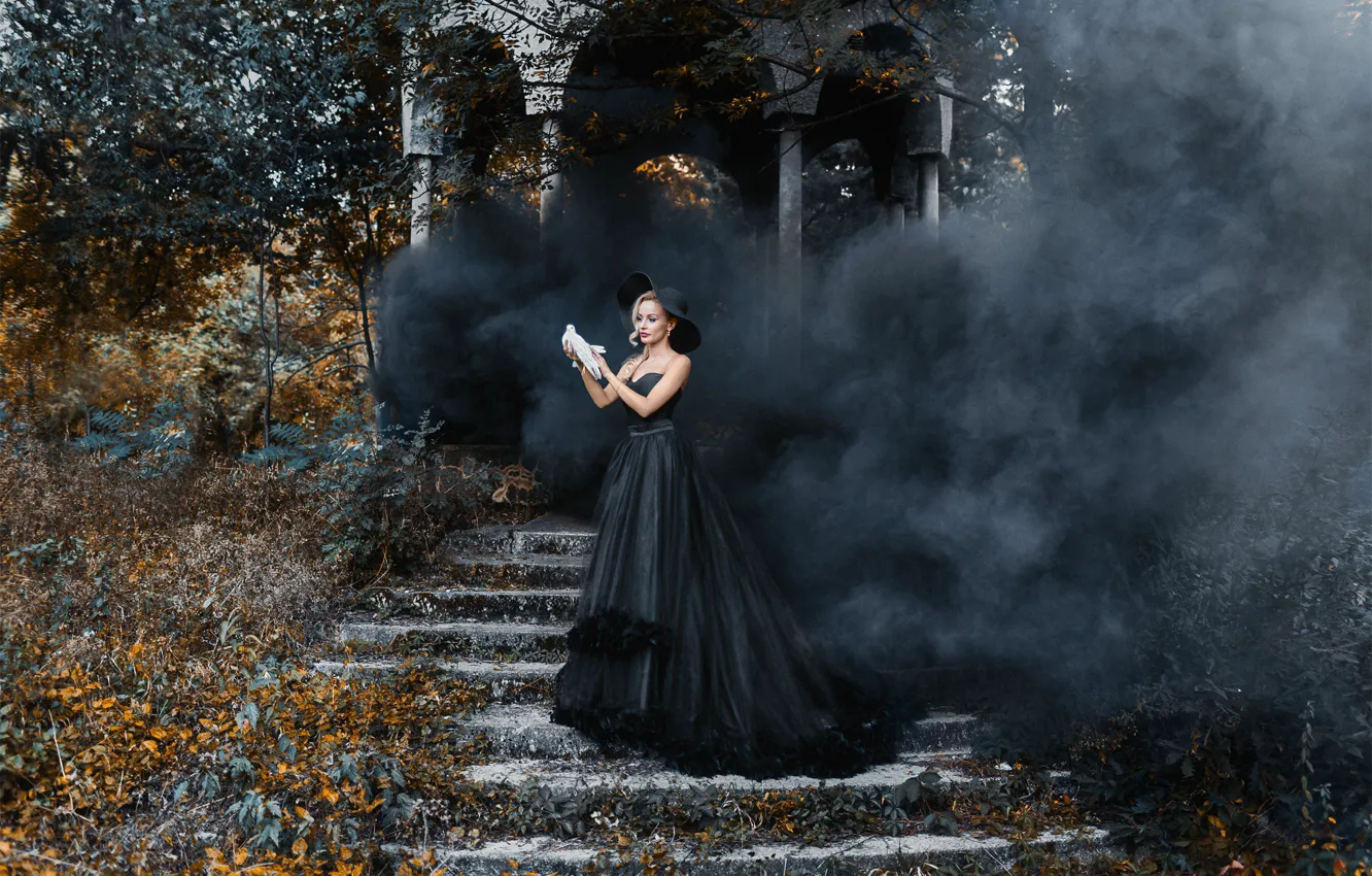 Photo wallpaper nature, pose, smoke, dress, ladder, pigeons, devuschka, Acts Novels