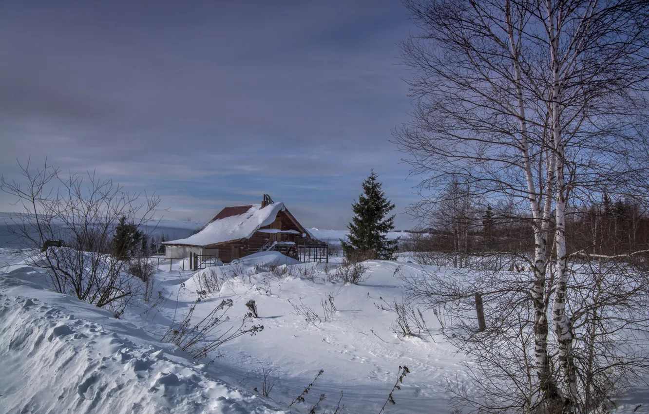 Photo wallpaper home, the snow, birch