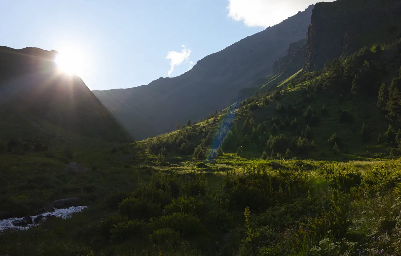 Photo wallpaper the sun, mountains, stream, The Caucasus