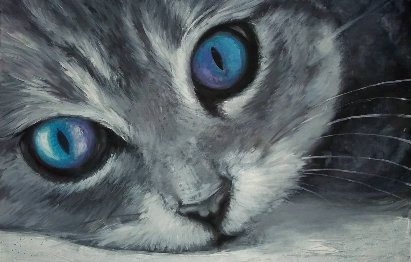 Photo wallpaper cat, muzzle, blue eyes