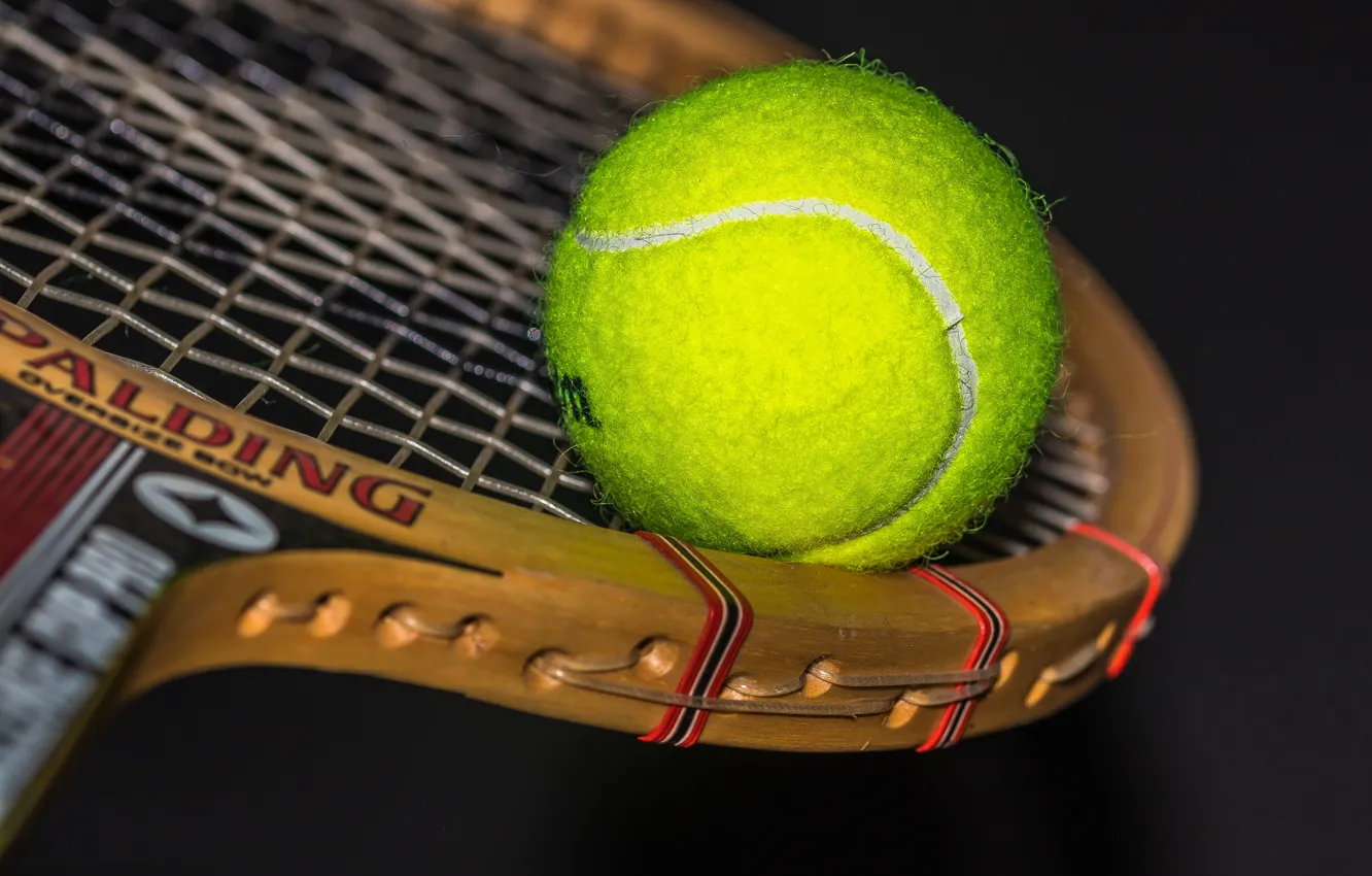 Photo wallpaper sport, the ball, racket