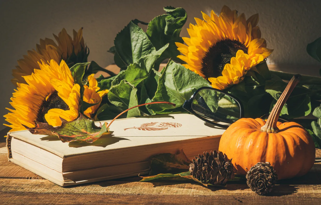 Photo wallpaper leaves, light, sunflowers, flowers, yellow, glasses, pumpkin, book