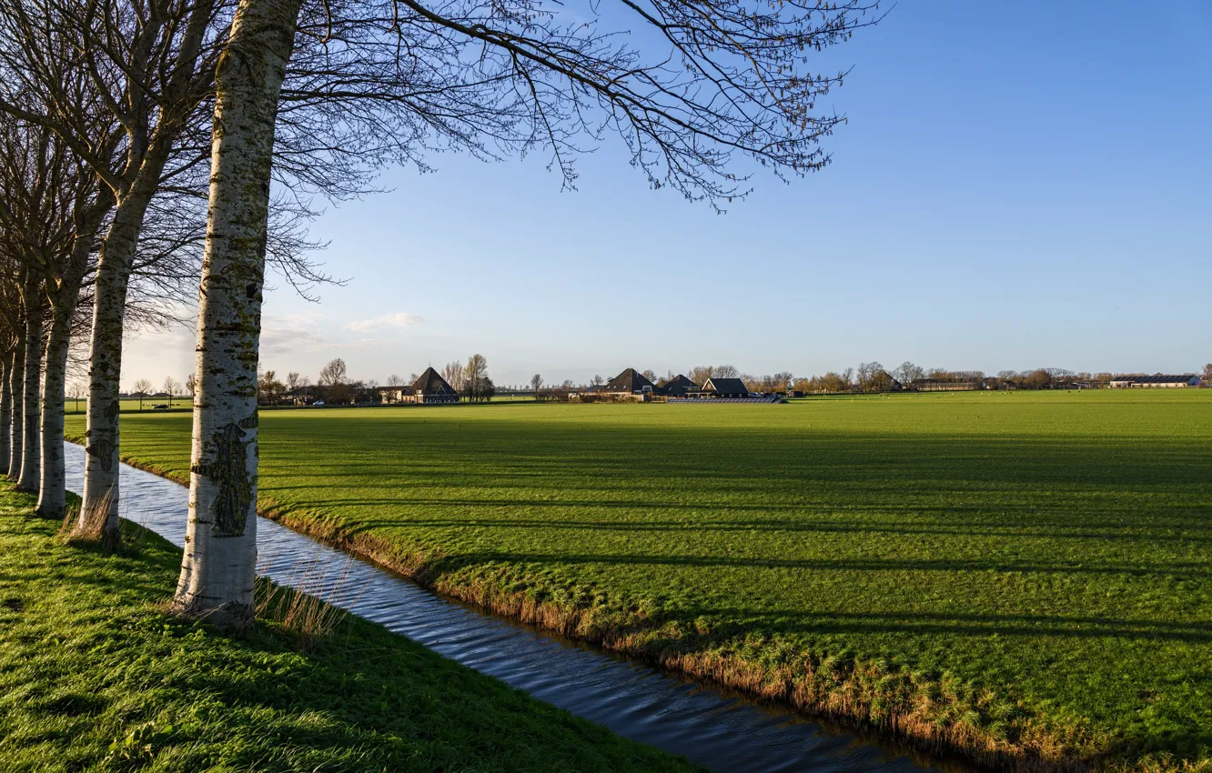 Photo wallpaper field, the sky, grass, the sun, trees, channel, houses, Netherlands