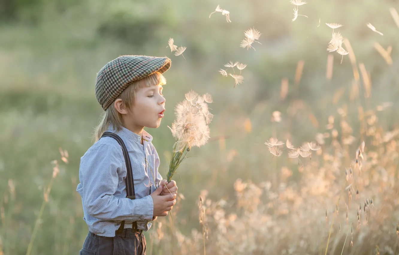 Photo wallpaper nature, children, dandelion, boy, the parachutes, Olga Selezneva