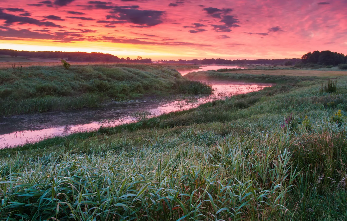 Photo wallpaper field, sunset, fog, river