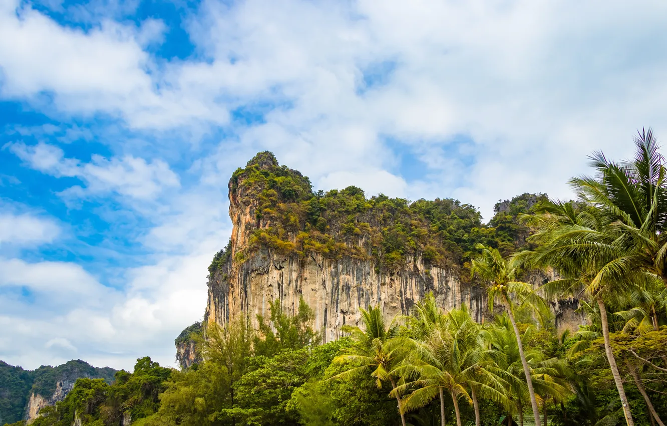 Photo wallpaper forest, the sky, clouds, trees, landscape, mountains, nature, palm trees