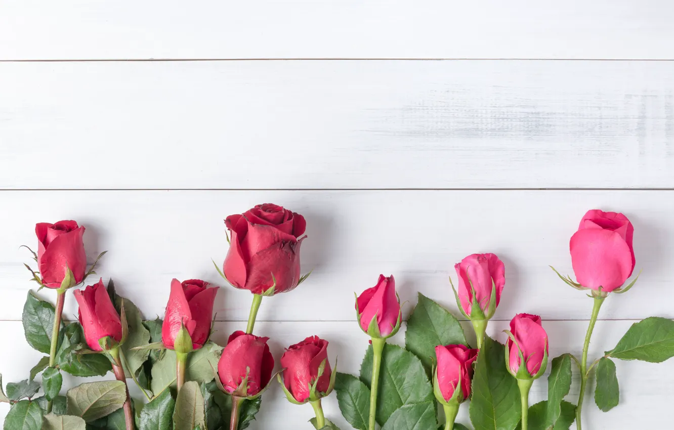 Photo wallpaper flowers, red, roses, red, buds, wood, flowers, romantic