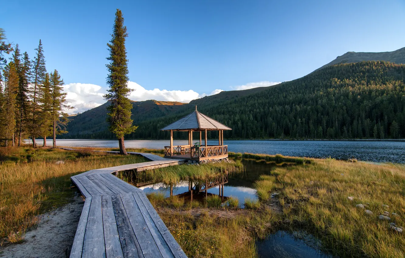 Photo wallpaper forest, mountains, nature, river, gazebo