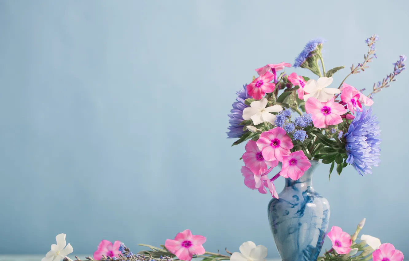 Photo wallpaper flowers, table, bouquet, vase, Phlox, Maya Kruchenkova
