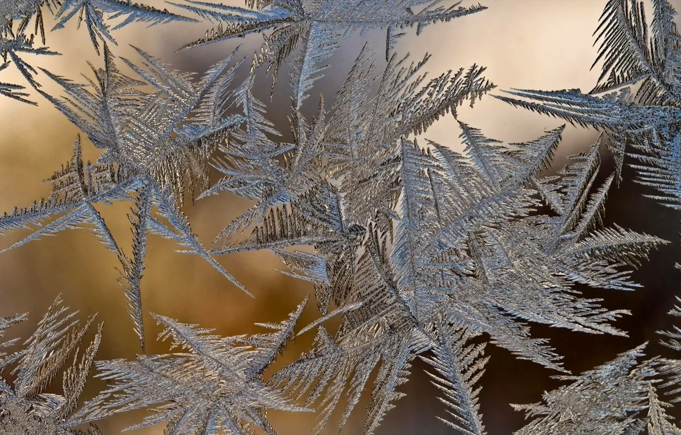Photo wallpaper winter, glass, frost