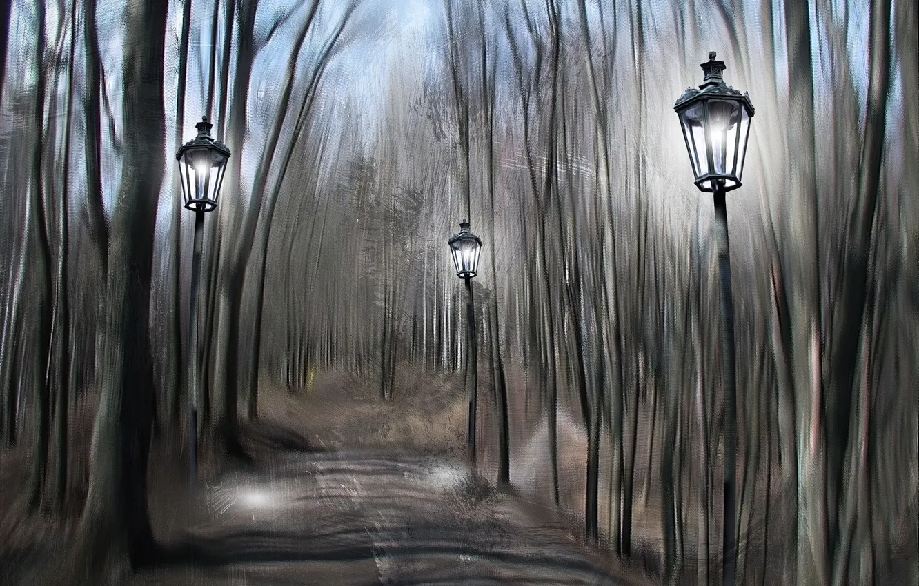 Photo wallpaper Park, lights, track