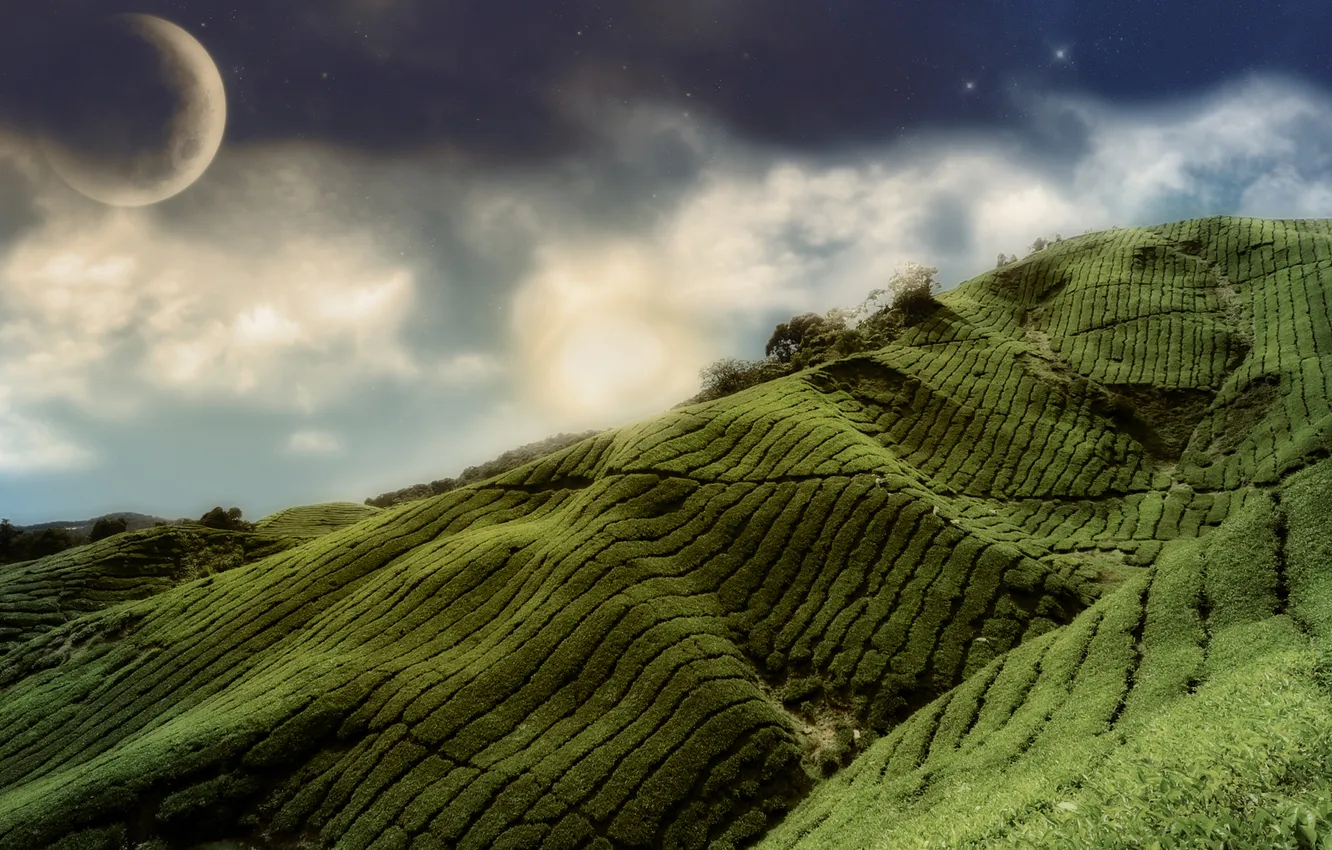 Photo wallpaper field, the sky, grass, nature, strip, hills, the moon