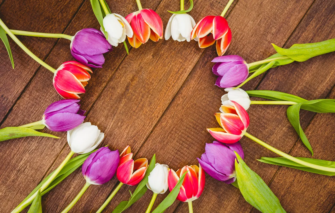 Photo wallpaper flowers, bouquet, colorful, tulips, red, white, wood, flowers