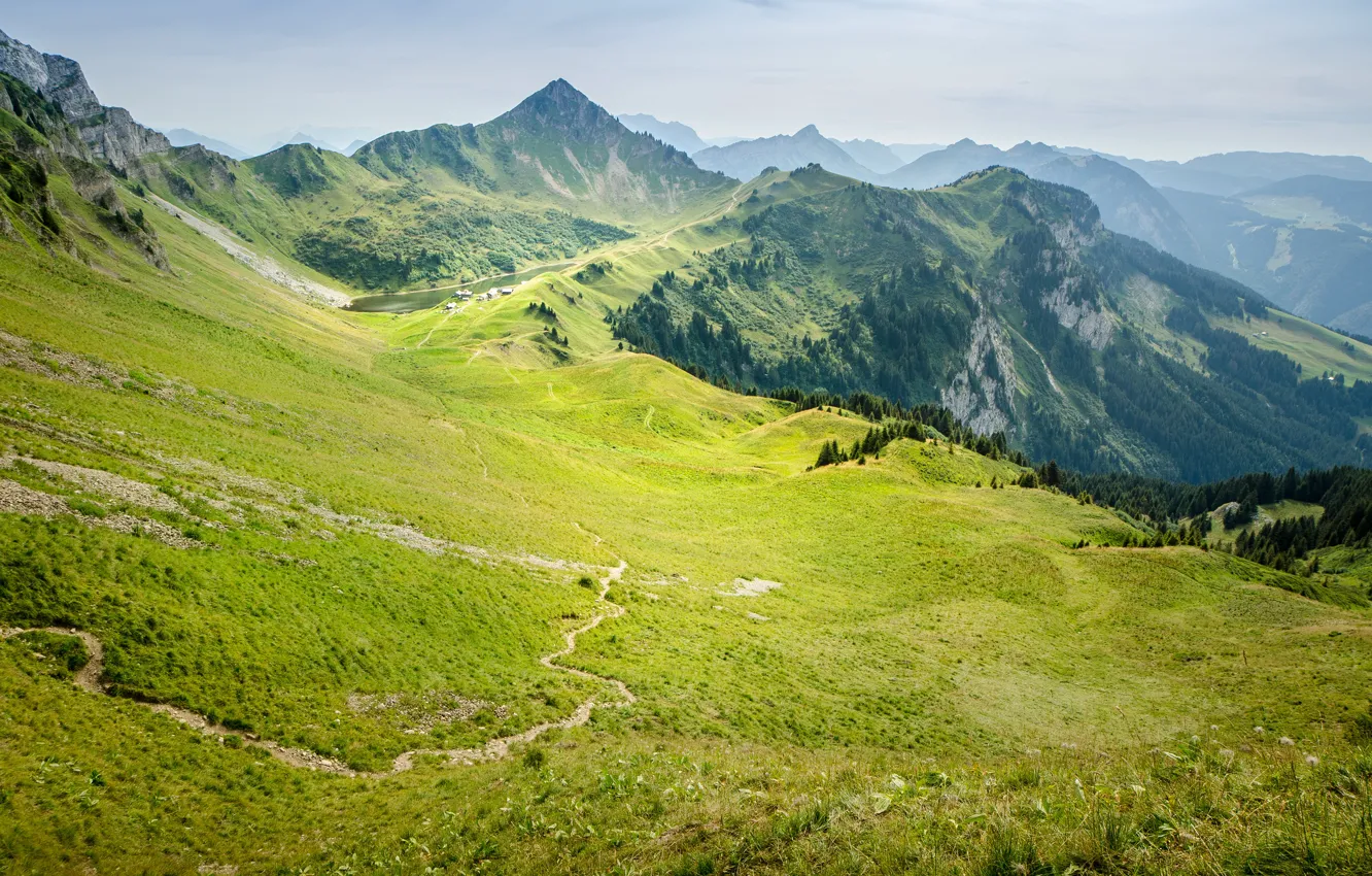 Photo wallpaper greens, forest, summer, the sky, grass, mountains, green, hills