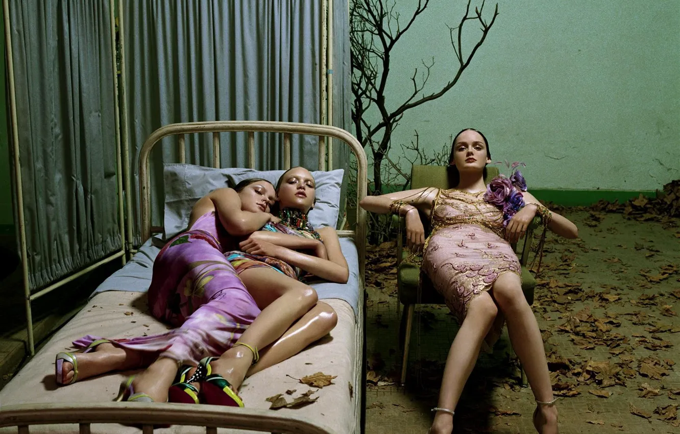 Photo wallpaper trees, chair, screen, bed