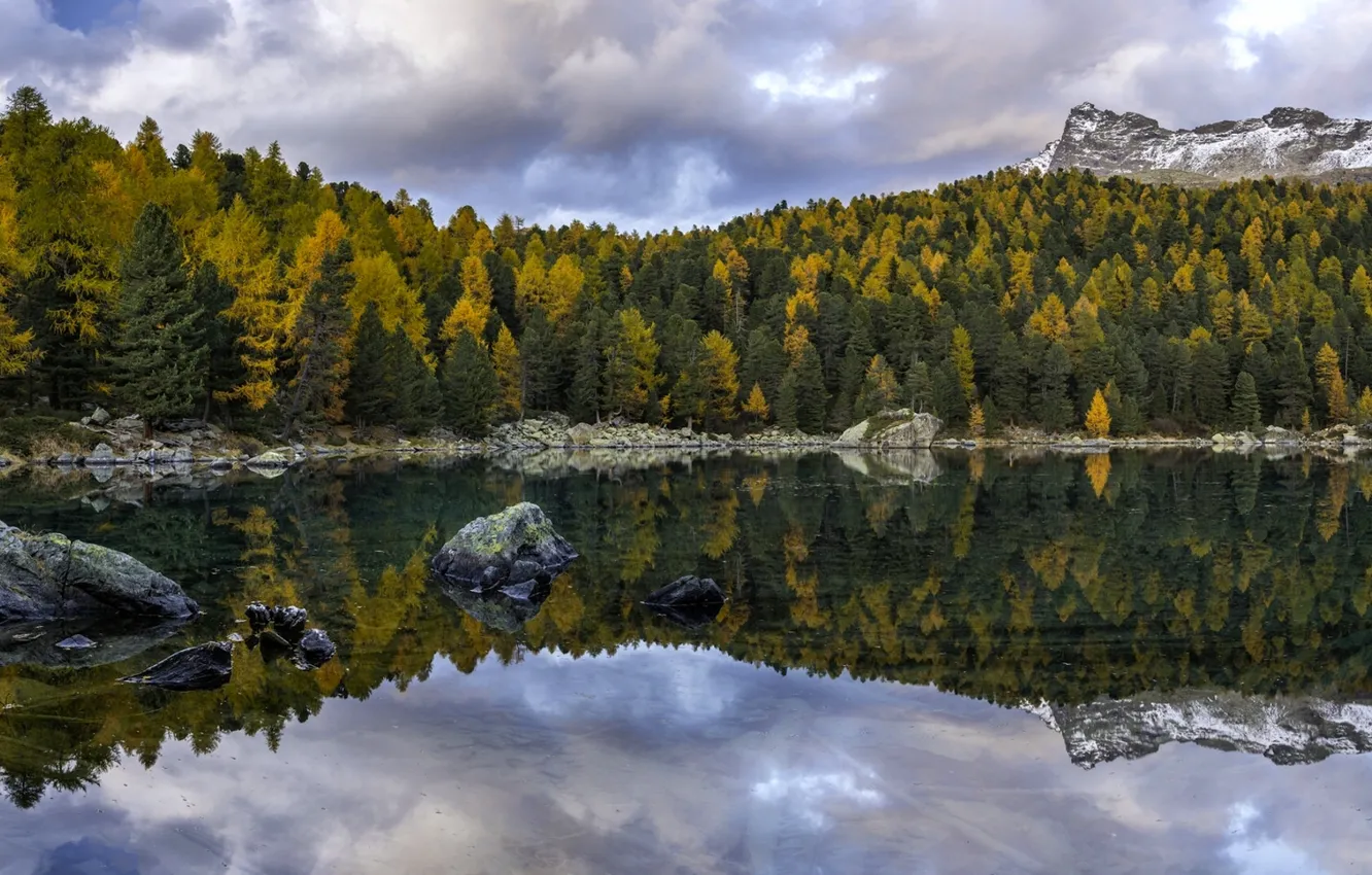 Photo wallpaper autumn, forest, trees, mountains, lake, reflection, Switzerland, Switzerland