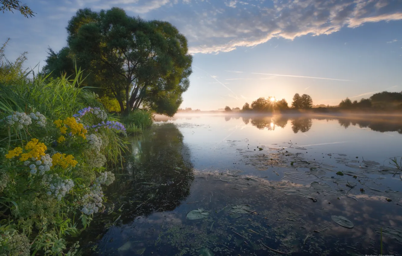 Photo wallpaper the sky, grass, water, trees, flowers, river