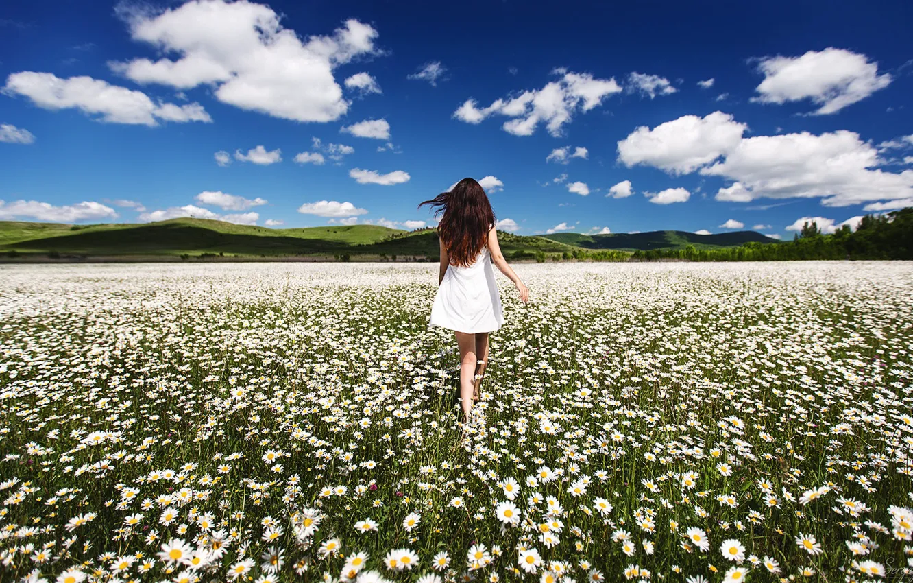 Photo wallpaper field, summer, the sky, girl, the wind, hills, back, chamomile