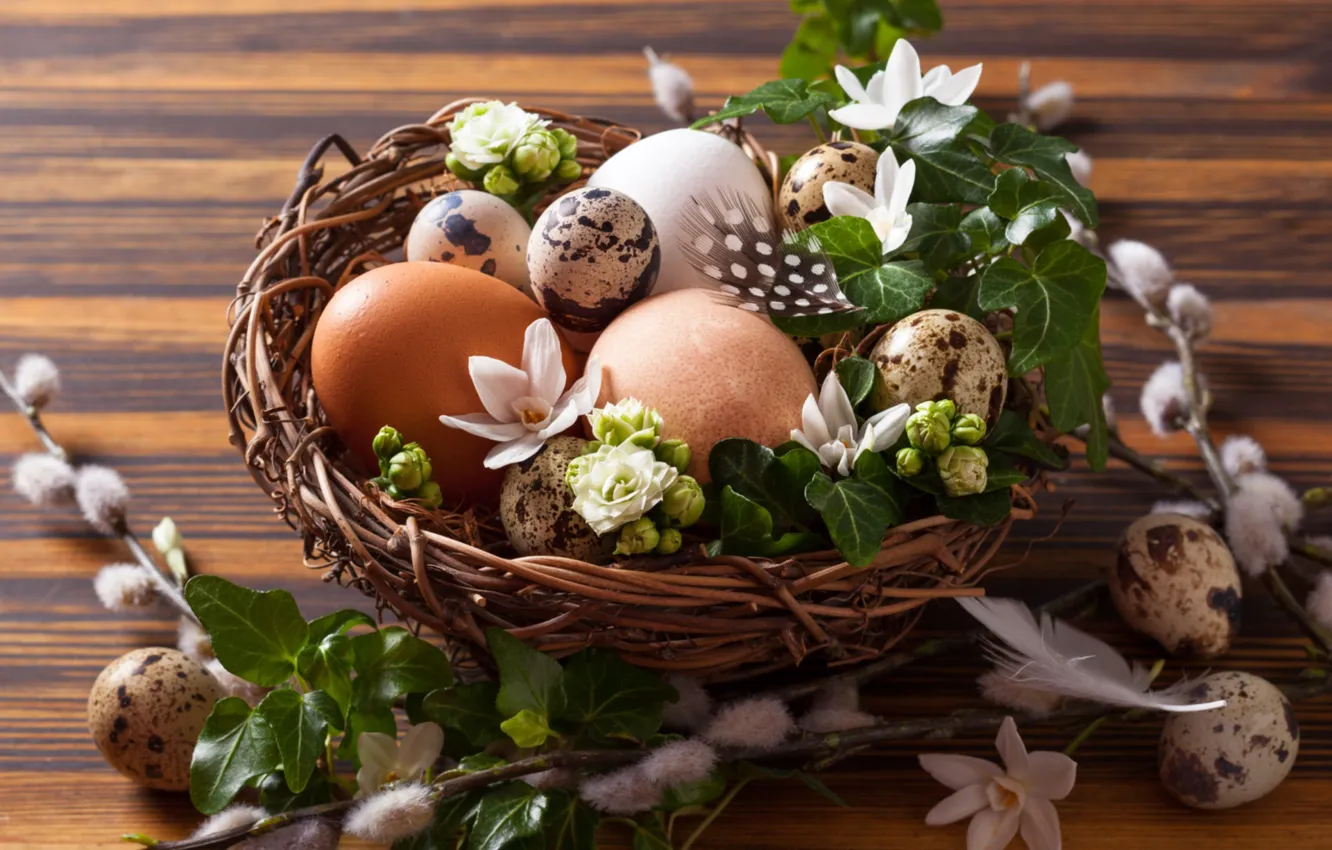 Photo wallpaper eggs, Easter, socket, Verba