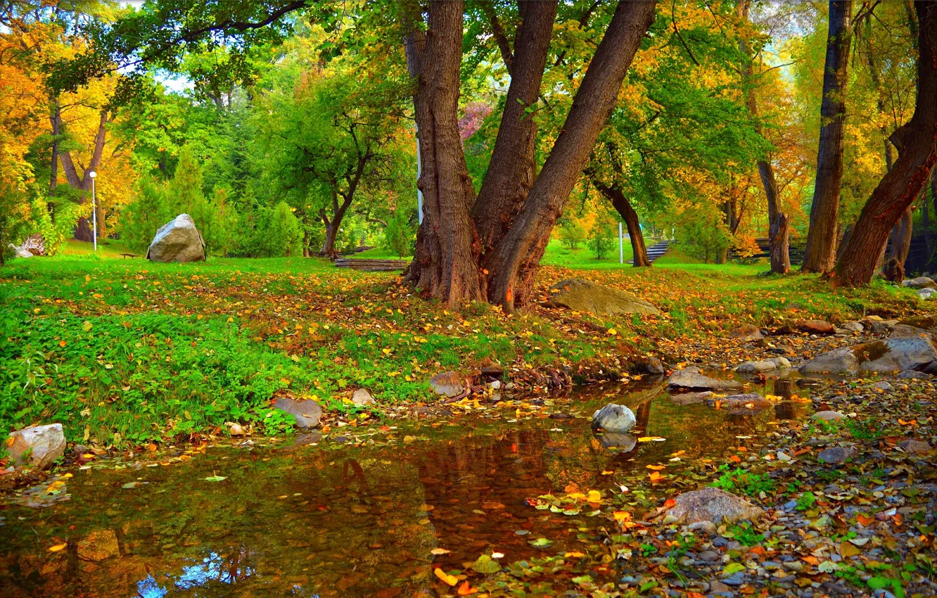 Photo wallpaper Autumn, Trees, Stream, Park, Fall, Foliage, Park, Autumn