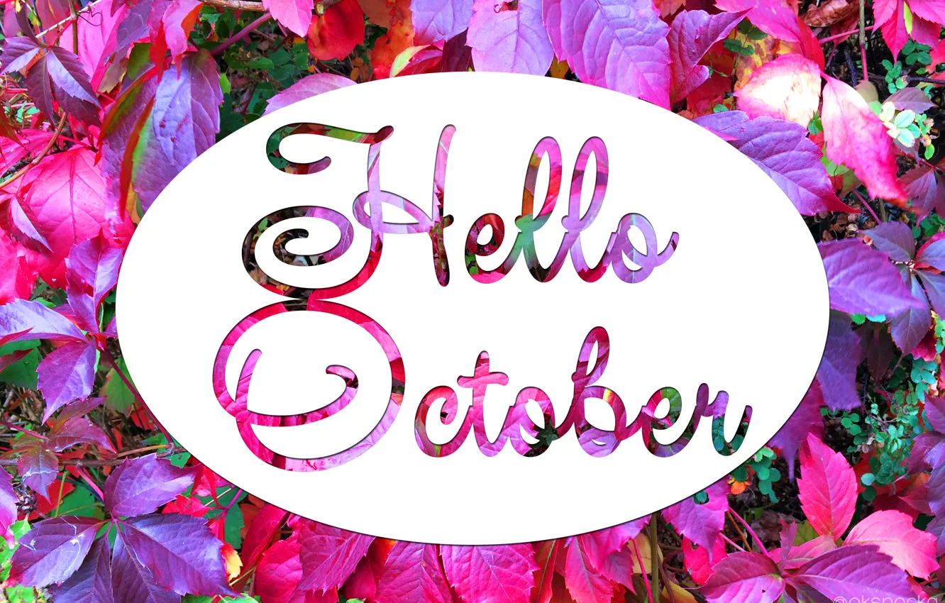 Photo wallpaper autumn, October, Hello October