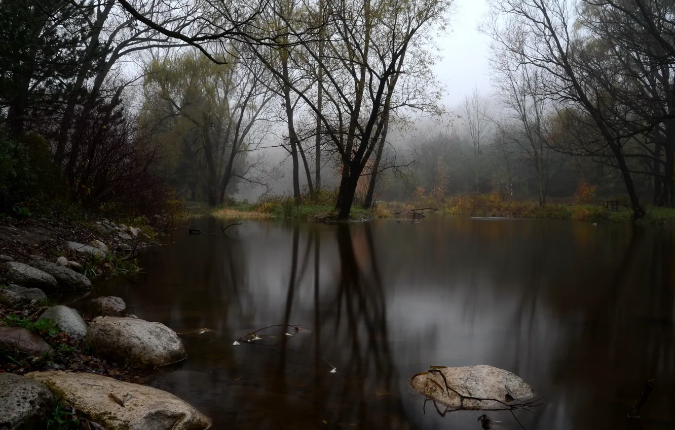 Photo wallpaper autumn, forest, fog, lake, stones
