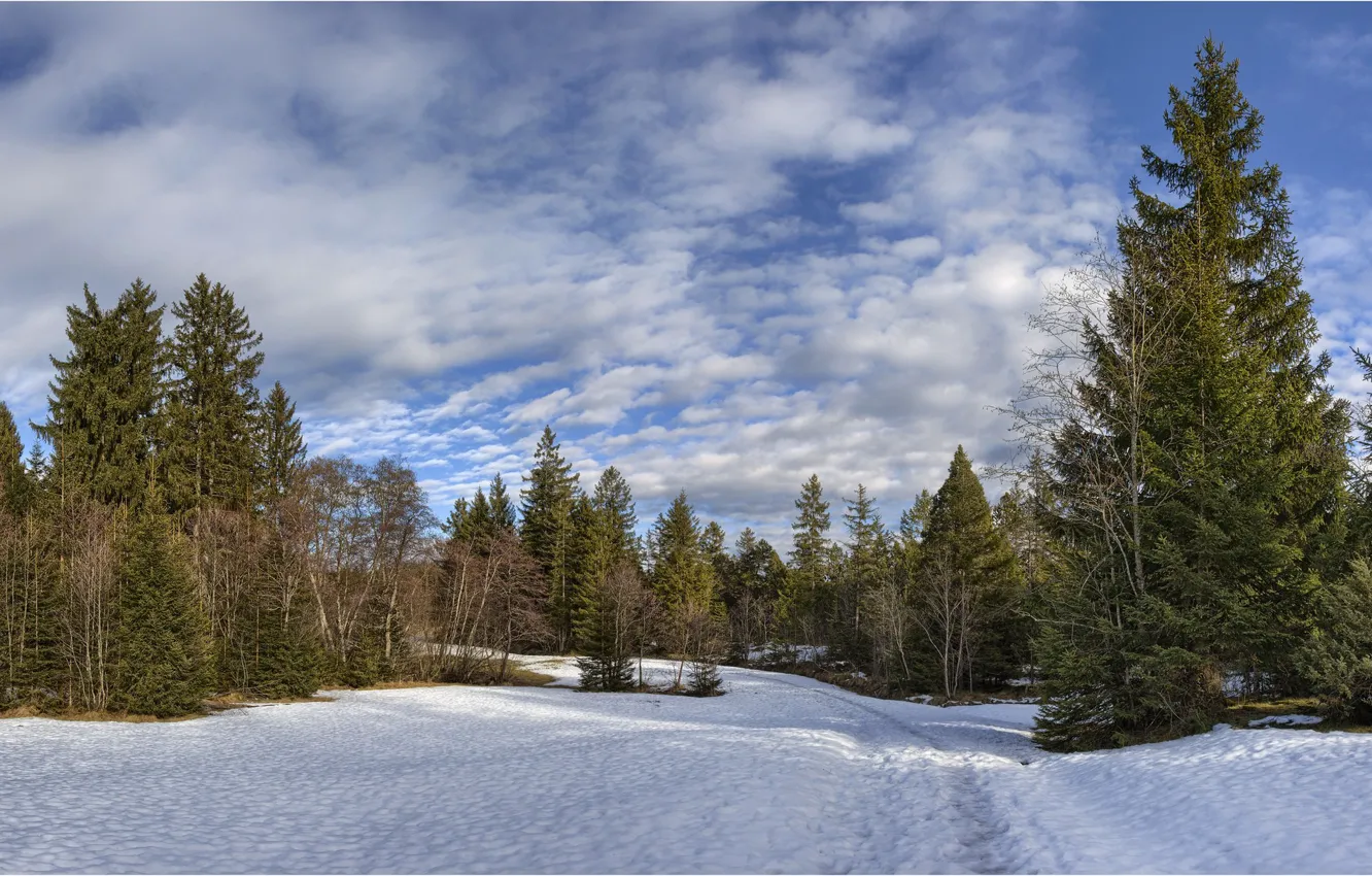 Photo wallpaper winter, Germany, Bayern, Germany, Bavaria, Schoenberg