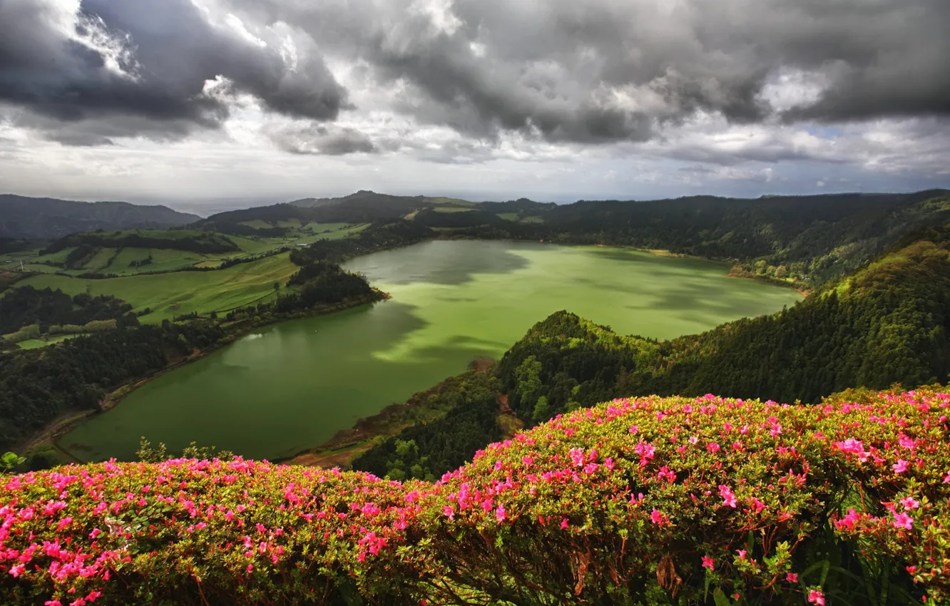 Photo wallpaper flowers, mountains, pond, rhododendrons
