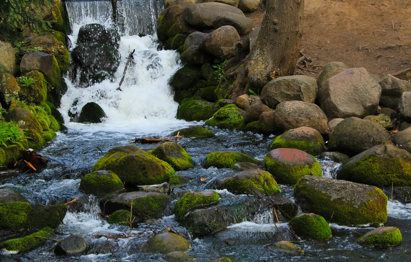 Photo wallpaper river, water, park, waterfall, stones