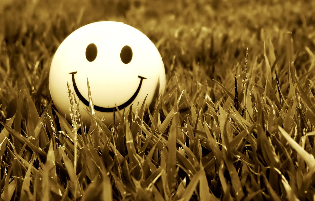 Photo wallpaper grass, macro, the ball, smiley