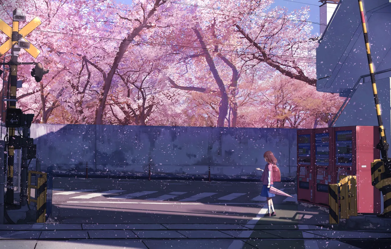 Photo wallpaper umbrella, Japan, schoolgirl, backpack, the barrier, cherry blossoms, crosswalk, semaphore