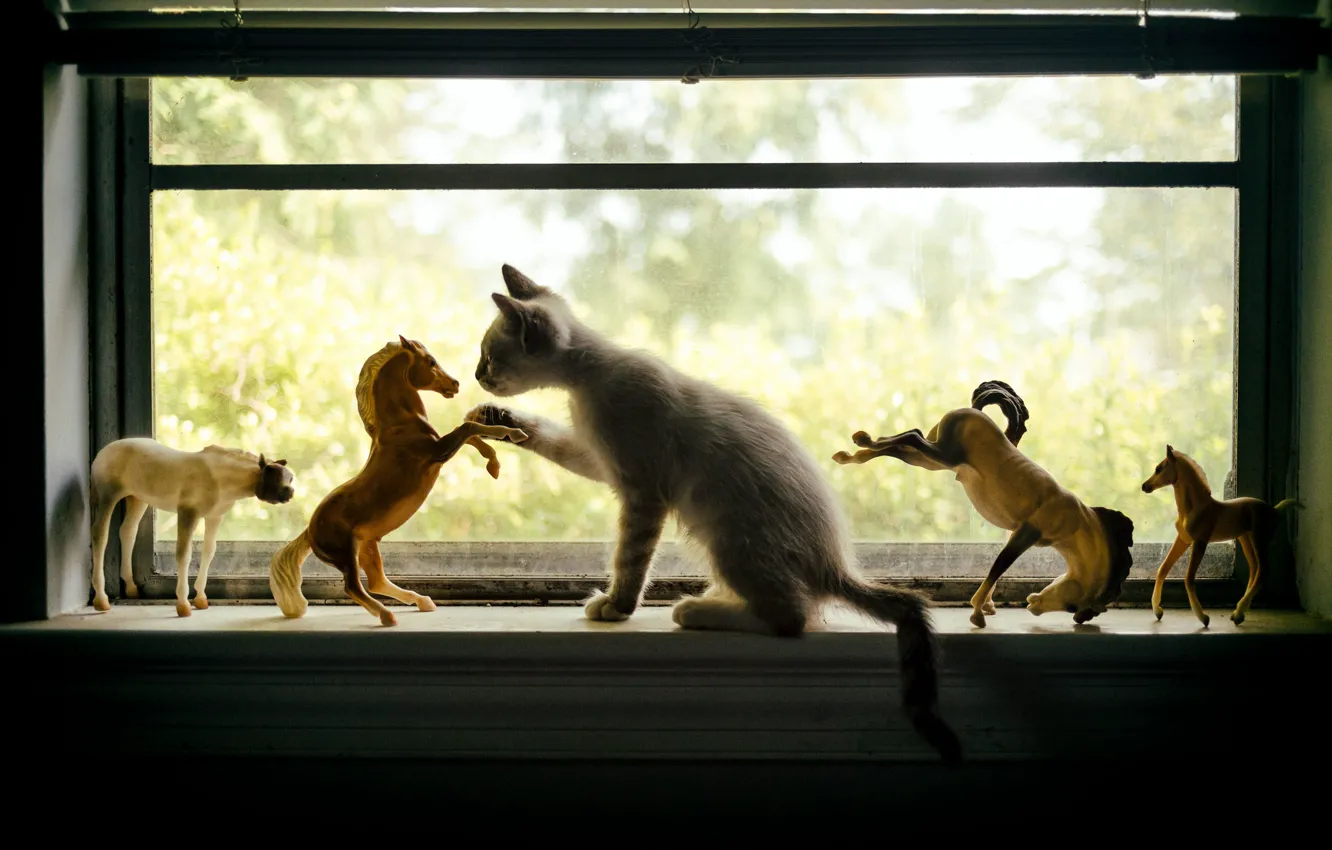 Photo wallpaper cat, cat, horse, horse, kitty