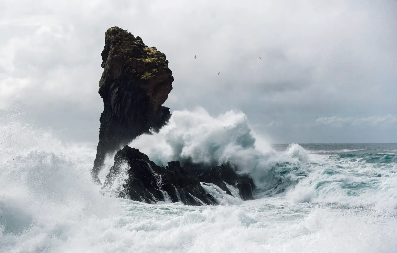 Photo wallpaper sea, wave, storm, rocks
