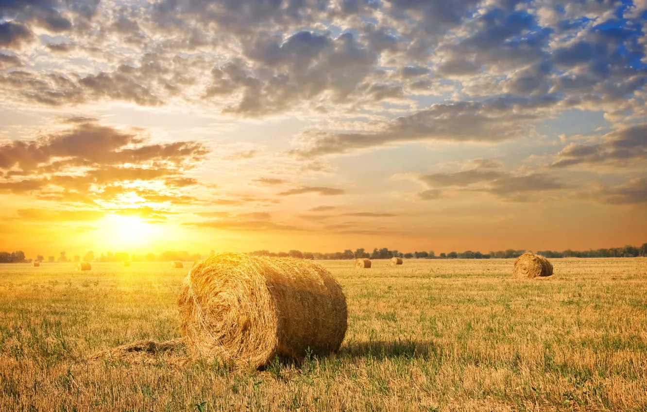 Photo wallpaper field, the sky, grass, the sun, clouds, dawn, stack, hay