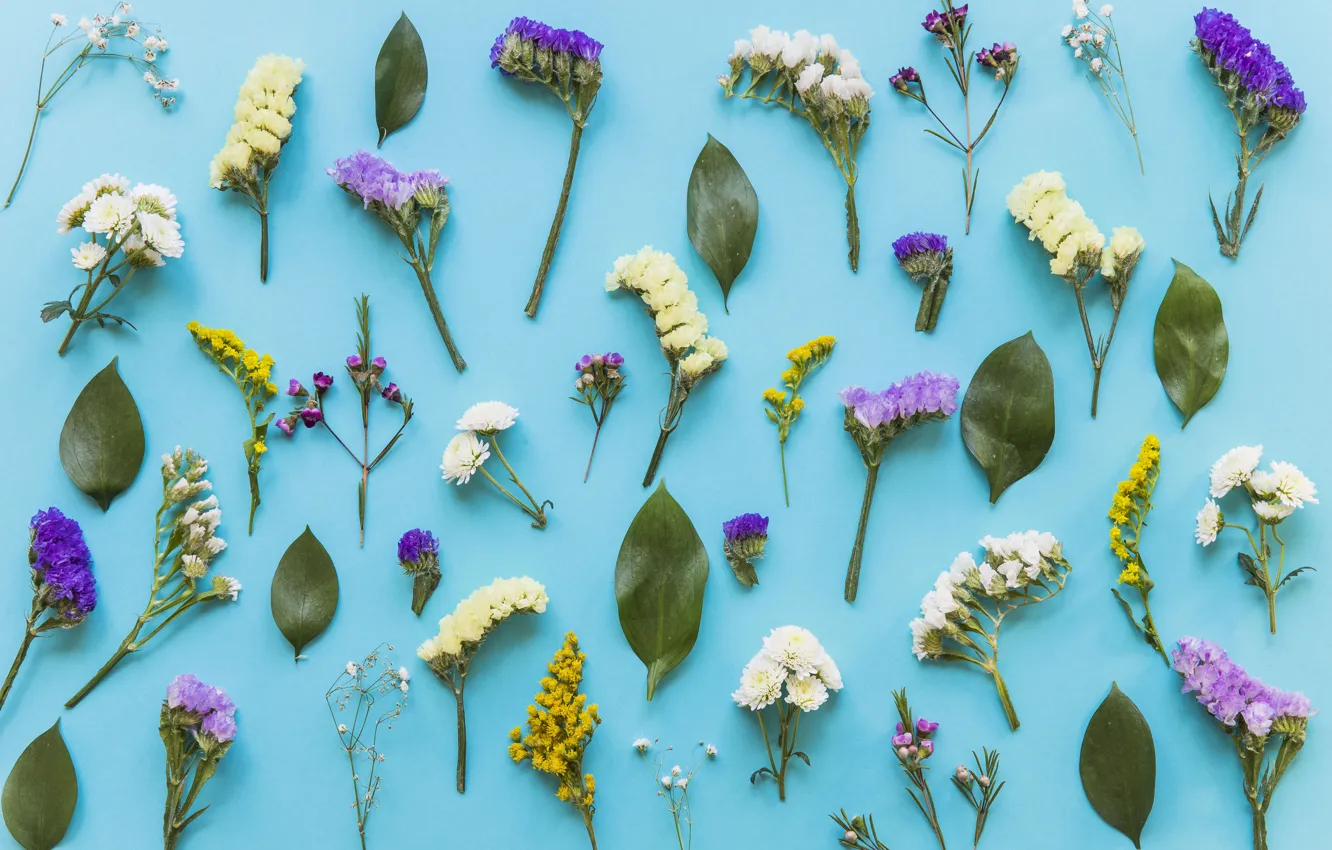 Photo wallpaper leaves, flowers, background, spring, flowers, background, spring