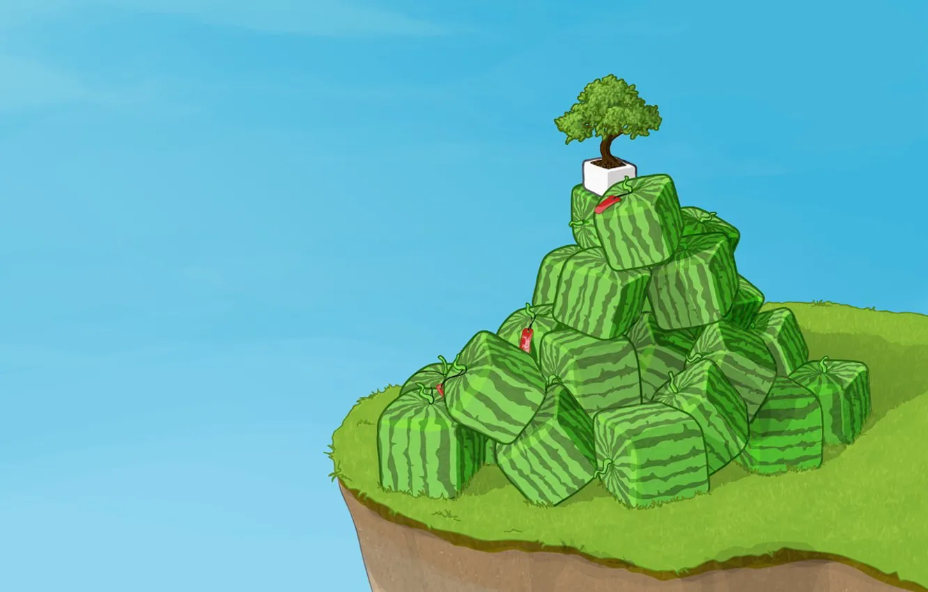 Photo wallpaper open, Cuba, bonsai, watermelon