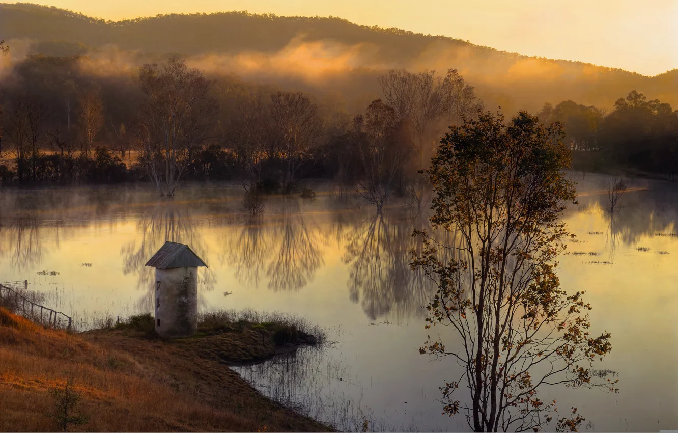 Photo wallpaper autumn, forest, fog, lake, hills, morning