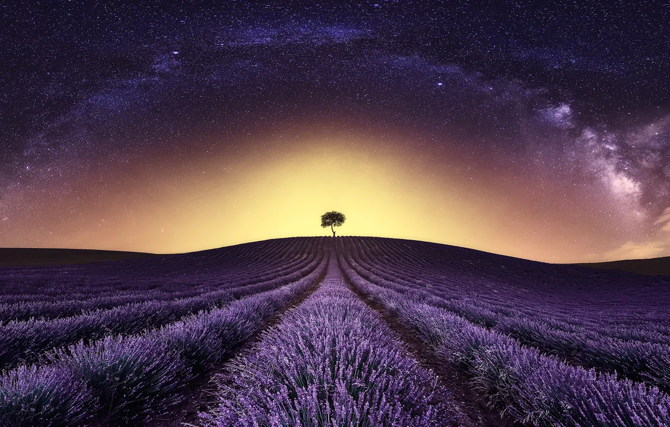Photo wallpaper field, tree, The Milky Way