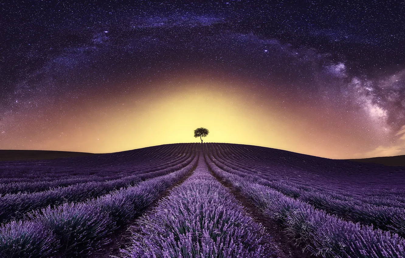 Photo wallpaper field, trees, the milky way