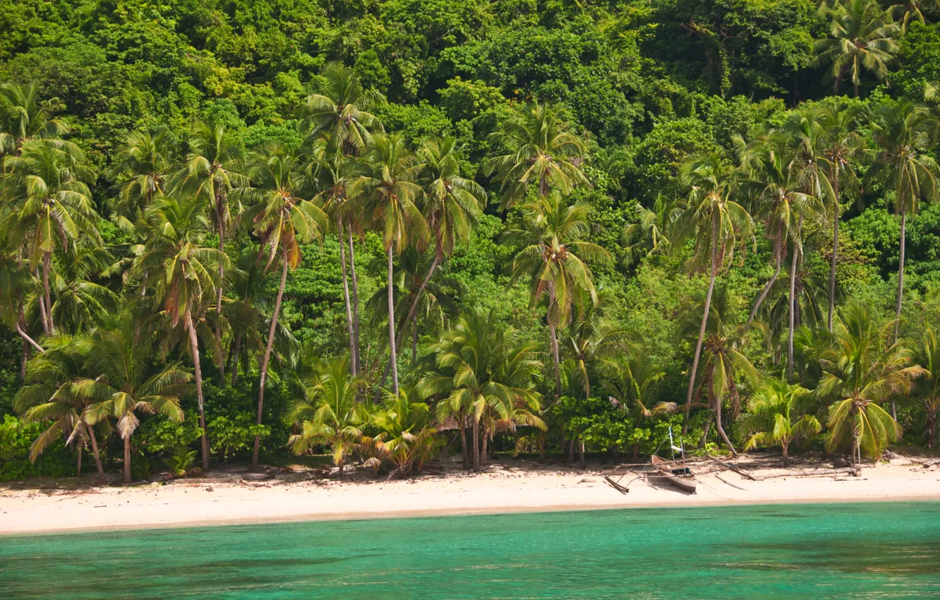 Photo wallpaper sand, landscape, nature, tropical beach, palm trees, the ocean, shore, island